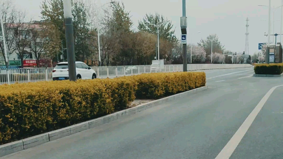 上班随手拍